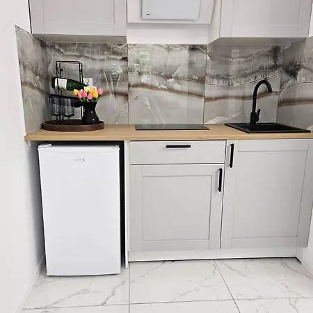 Zagrodnicza Modern House Apartment Wroclaw