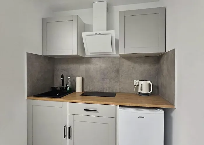 Apartment Zagrodnicza Modern House *